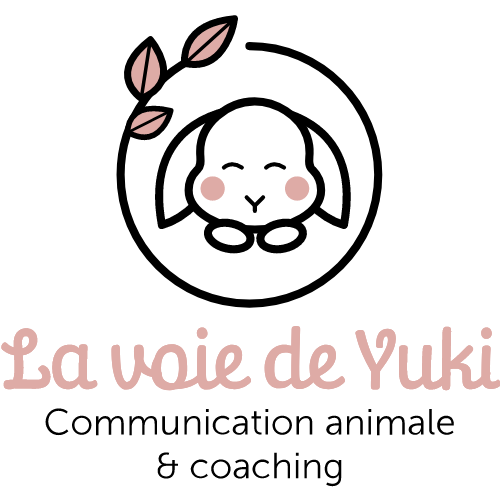 logo la voie de yuki